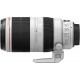 Canon EF 100-400 mm f/4.5-5.6 L IS II USM Lens