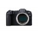 Canon EOS RP Camera with Mount Adapter EF-EOS R