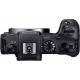 Canon EOS RP Camera with Mount Adapter EF-EOS R